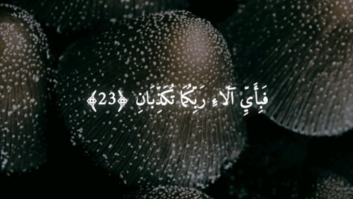 Surah Al Rahman beautiful quran recitation 🤲🤲