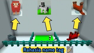 RAHASIA NAME TAG YANG KALIAN BELUM TAU - Minecraft versi 1.16