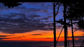 Han Yu: I know that if I take a step back, the world will be broader, but I have never done it in my