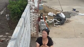 合着家里就我的地位最低呗