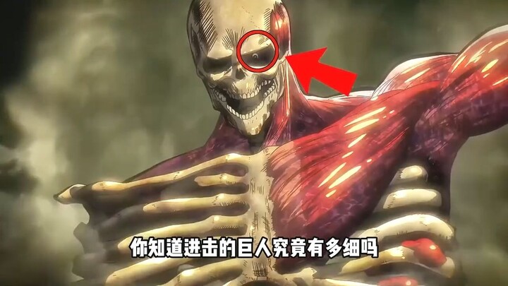 你知道进击的巨人究竟有多细吗？