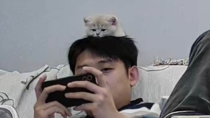 Kucing yang Sangat Istimewa!
