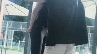田中洁子