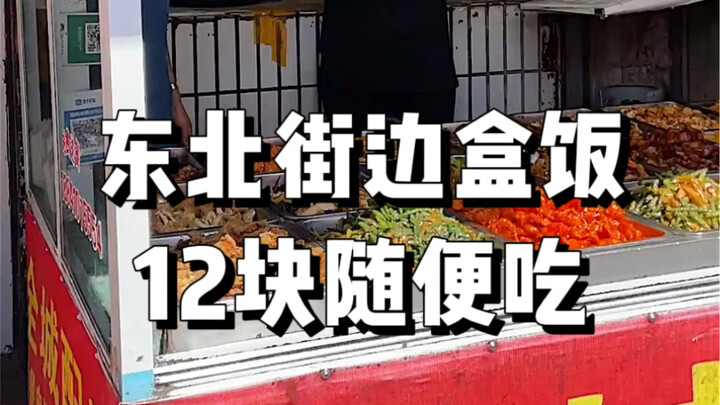 Street-side lunch boxes in Northeast China: 12 yuan for over 20 dishes—you can eat as much as you wa