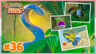 Level 2 Founja Jungle *Day* Completed | New Pokemon Snap - Part 36 (No Commentary)