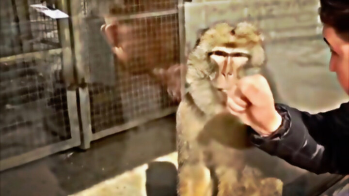 Maolou: Sekali lagi, aku suka nonton!