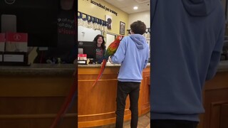 Talking parrot says ridiculous things prank