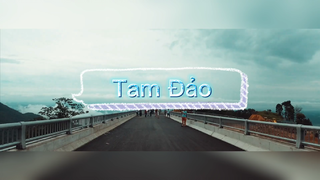 Chán Hà Nội rồi thì làm 1 vòng lên Tam Đảo đổi gió