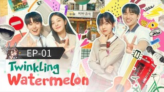 Twinkling Watermelon S01 [Episode-01] Hindi Dubbed....K-Drama....Kore