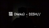 猫 (Neko) - DISH// short ver