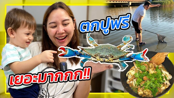 VLOG | ตกปูม้ามาผัดผงกระหรี่ ปูตุรกีเยอะมาก ตกฟรี ดึงเอาๆไม่หมดซักที