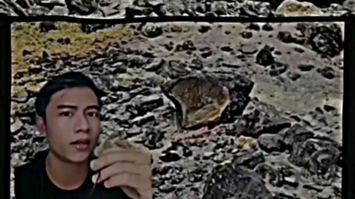 Kurama didunia nyata