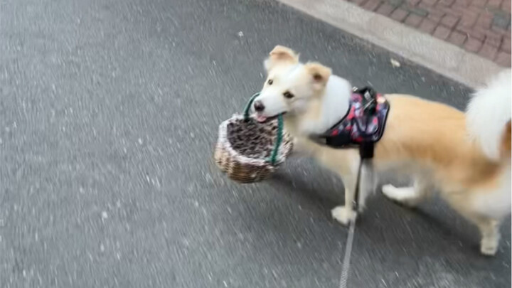 Dr. Chen took her dad grocery shopping again.