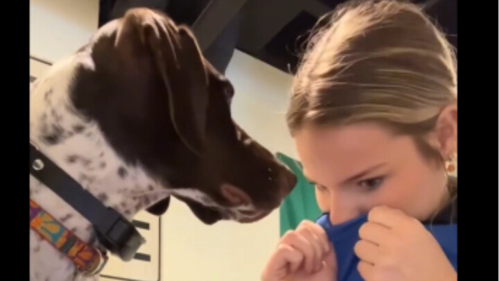 استخدمي حيلًا ذكية لإغراء الرجال لتجربتها مع الكلاب – شاهدي رد فعل الكلب المدلل!