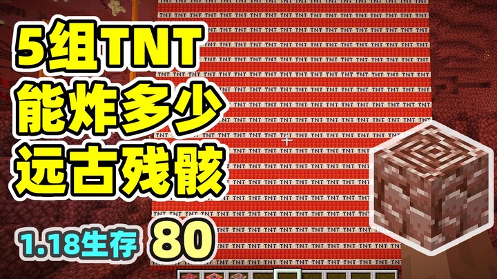 How far can 5 stacks of TNT blow up ancient debris? MC 1.18 survival, level 80.