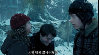 我们仍未知道那些年罗恩说了多少句“bloody hell”