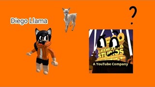 Diego Ladezma Studios Llama 🦙