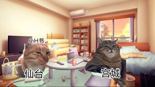 【一周一次买下同班同学】猫meme叙事 “梦开始的地方”
