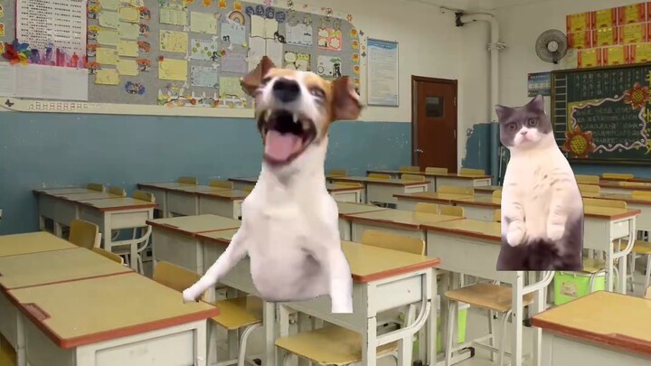 Bagaimana jika suatu kelas penuh dengan kepribadian ungu? [kelompok MBTI-NT]