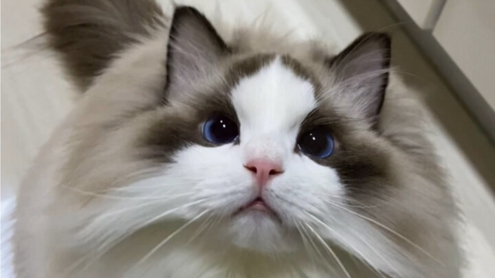 เพื่อนๆ ช้อปออนไลน์ต้องเช็กไซส์ให้ดีนะ! บทเรียนแสนเจ็บปวดเลย...