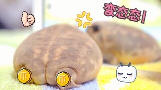 【หมั่นโถวกา】ก้นของนางฟ้ากบ (เยียวยาในหนึ่งนาที #8)