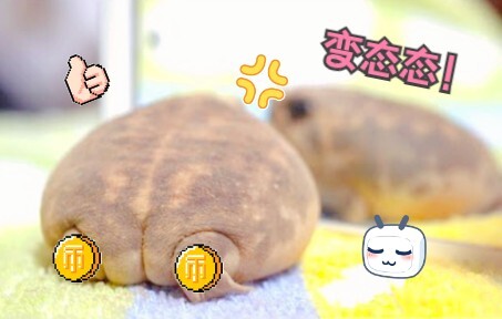 【تشوان تشو مان】 مؤخرة ملاك الضفدع الصغير (شفاء في دقيقة واحدة #8)