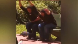 ใช้หนูปลอมแกล้งคน