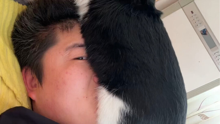 打小就犟