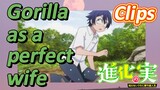 [The Fruit of Evolution]Clips |Gorilla as a perfect wife