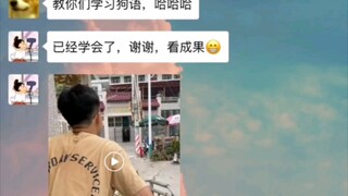 หมา : ใครเรียกฉัน?