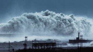 [Tập 5 - Thuyết Minh] Hành tinh tuyệt vời - A Perfect Planet E05: Humans