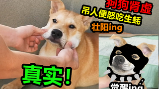 狗狗肾虚不吃柠檬，吊人便怒吃五斤生蚝壮阳，没想到肚子吃坏了，真实！