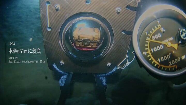 One Piece Special Project PV: Global Sales Exceed 600 Million Copies — Eiichiro Oda Personally Sends