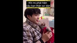 #MVHai Phát hiện thằng bạn thân sợ gián
