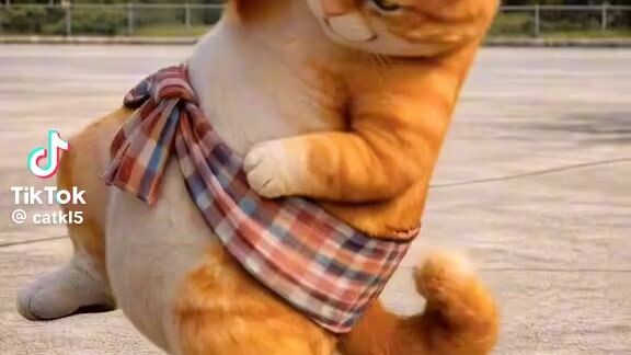 ซ่อยข่อยแน่