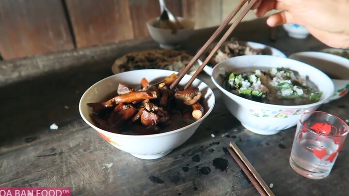 NẤM RỪNG XÀO _ Tìm Nấm Đỏ - Tập 4