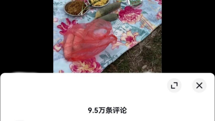 Cách dã ngoại phù hợp hơn với các bé Trung Quốc!