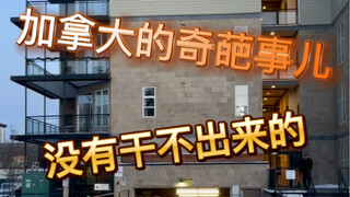 هل من الممكن أن يكون هناك حقًا أشخاص يحبون العيش في المقابر؟