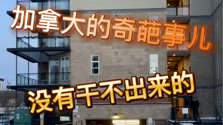 هل من الممكن أن يكون هناك حقًا أشخاص يحبون العيش في المقابر؟