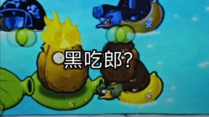 Kamu juga makan ini? Kak Lang?