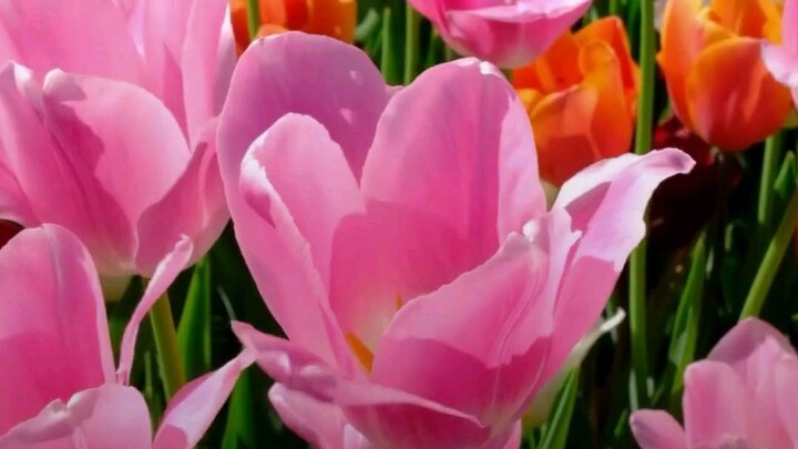 খারাপ কিছু থেকে ভালো কিছু নেয়া সম্ভব