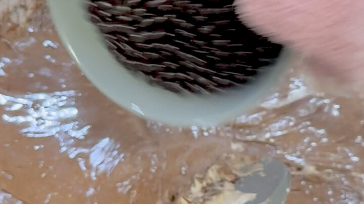 ประสบการณ์ทำอาหารสำเร็จในอดีตทำให้ฉันมั่นใจสุดๆ! วันนี้คุกกี้เกล็ดหิมะพังไม่เป็นท่าเลย… ⦁֊⦁ บรรดาท่า