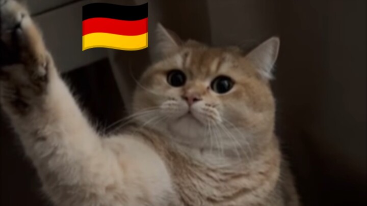 Dengan pose ala Jerman yang sangat mengesankan, Hakimi