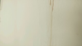 404_Run_Run_1080P.mp4