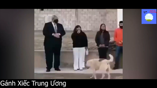 Đủ mọi sắc thái 1TK #funny