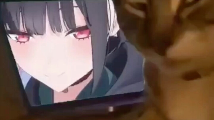 You probably won’t like this, you’re such a noob [tsundere]