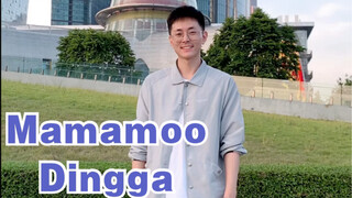 Mamamoo新专先行曲Dingga男木可爱翻跳