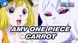 [AMV One Piece] Aku Tertarik Dengan Carrot Yang Imut Dan Pandai Berkelahi!_3