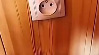 Coba tebak, mengapa Anda menonton video ini?