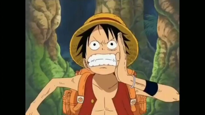 one piece hahah momen 🤣🤣